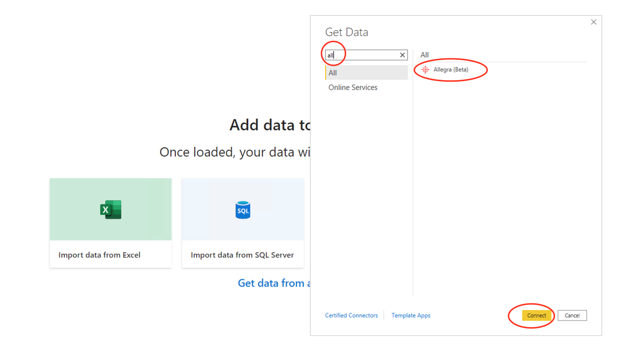 _images/powerBI_Allegra_connector.png